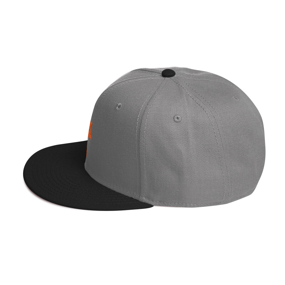 Brand Logo Embroidered Snapback Hat