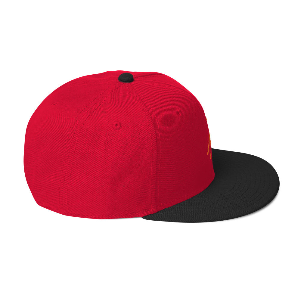 Brand Logo Embroidered Snapback Hat