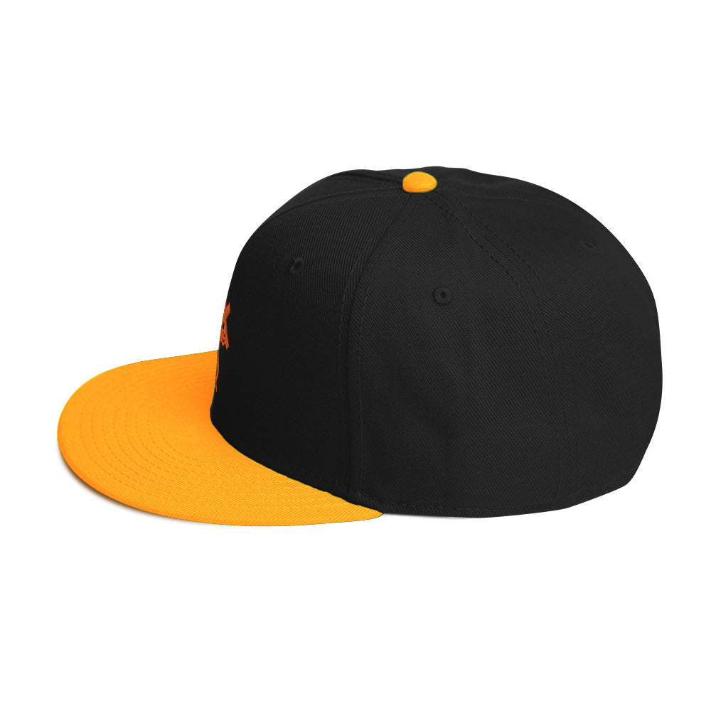 Brand Logo Embroidered Snapback Hat