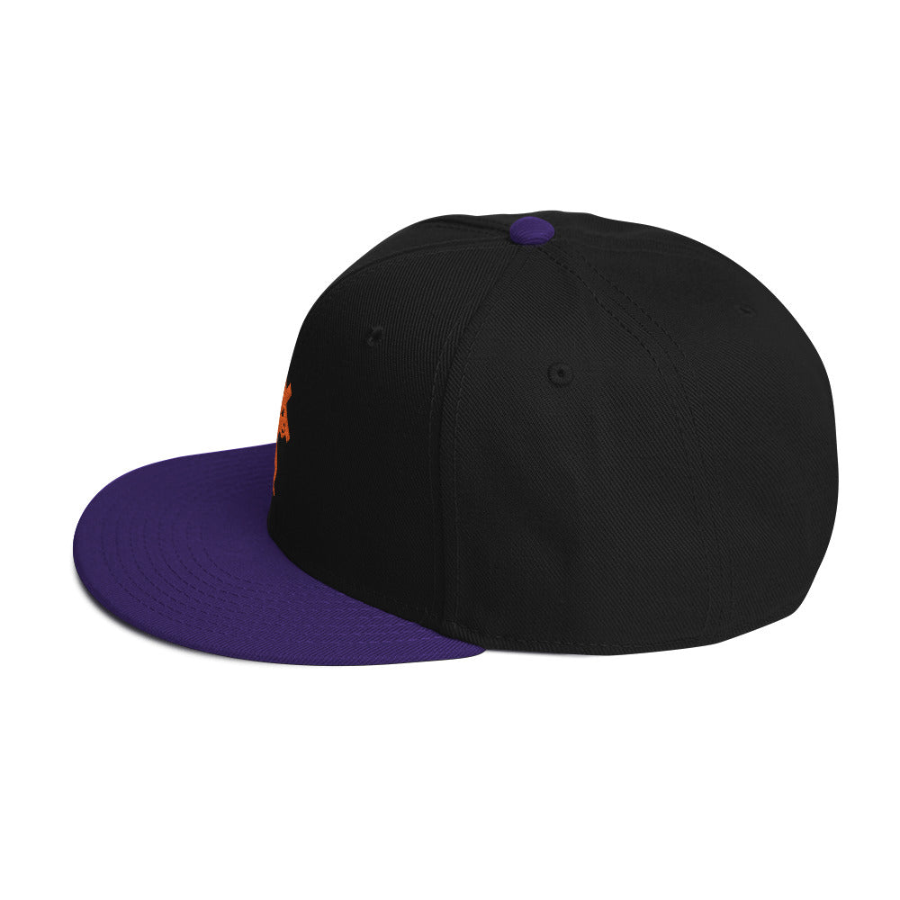 Brand Logo Embroidered Snapback Hat