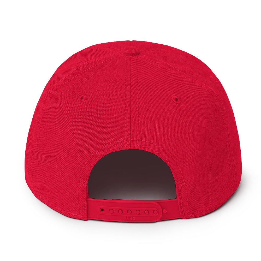 Brand Logo Embroidered Snapback Hat