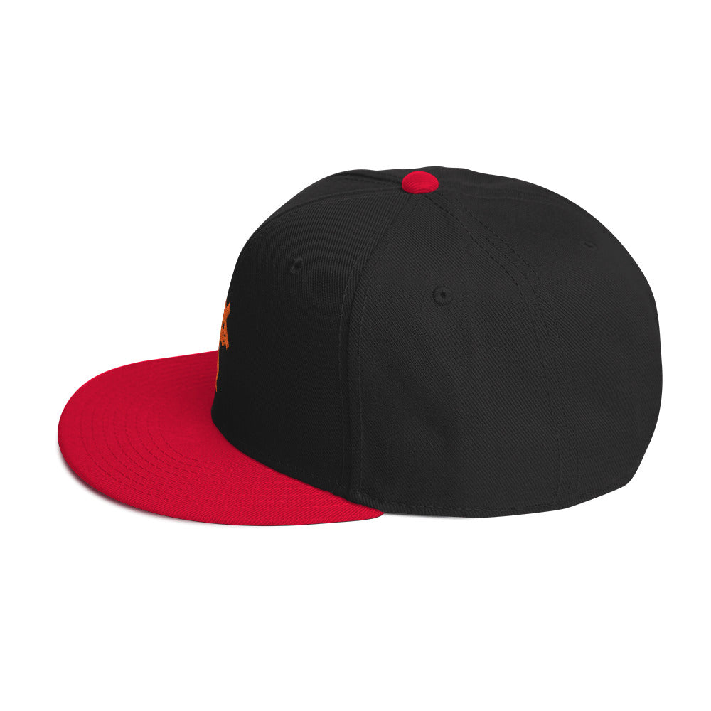 Brand Logo Embroidered Snapback Hat