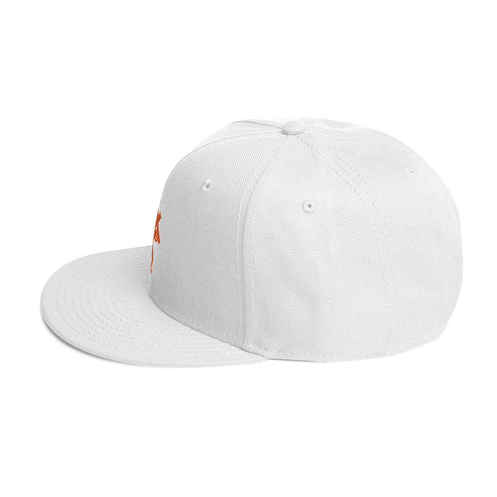 Brand Logo Embroidered Snapback Hat